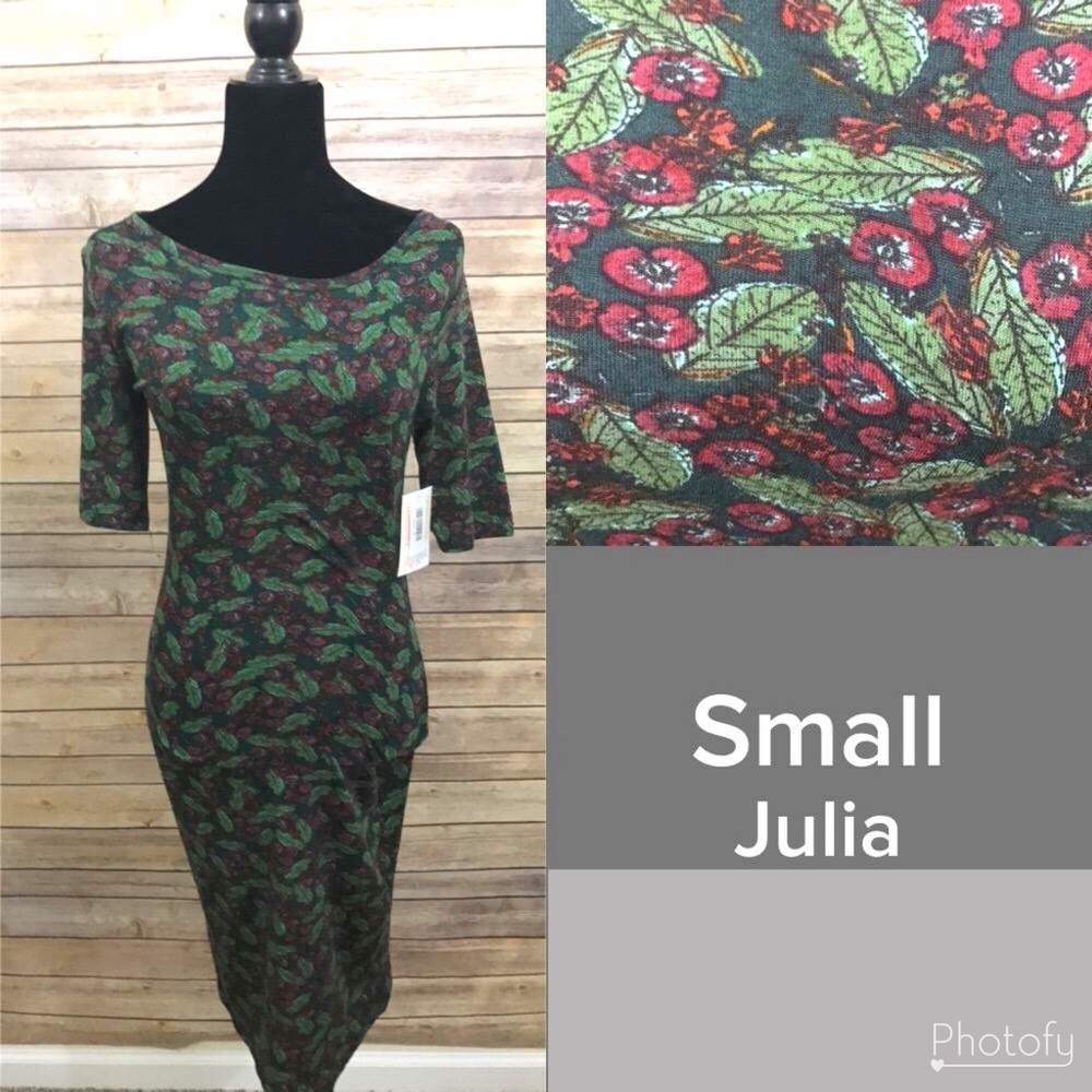 LuLaRoe Julia Dress